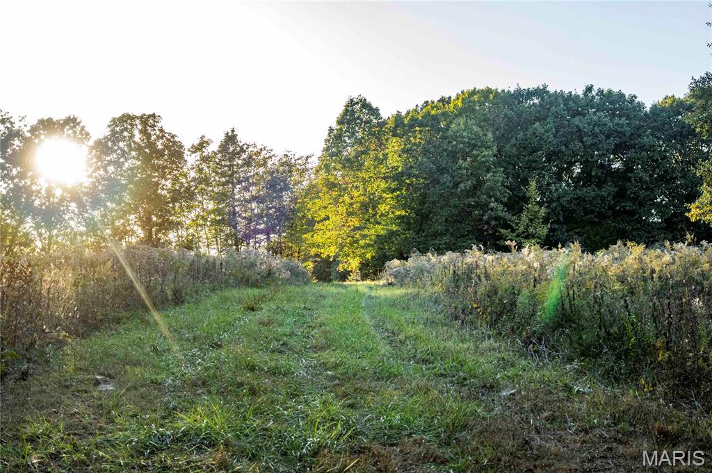 2302 Highway 19 Property Photo 10