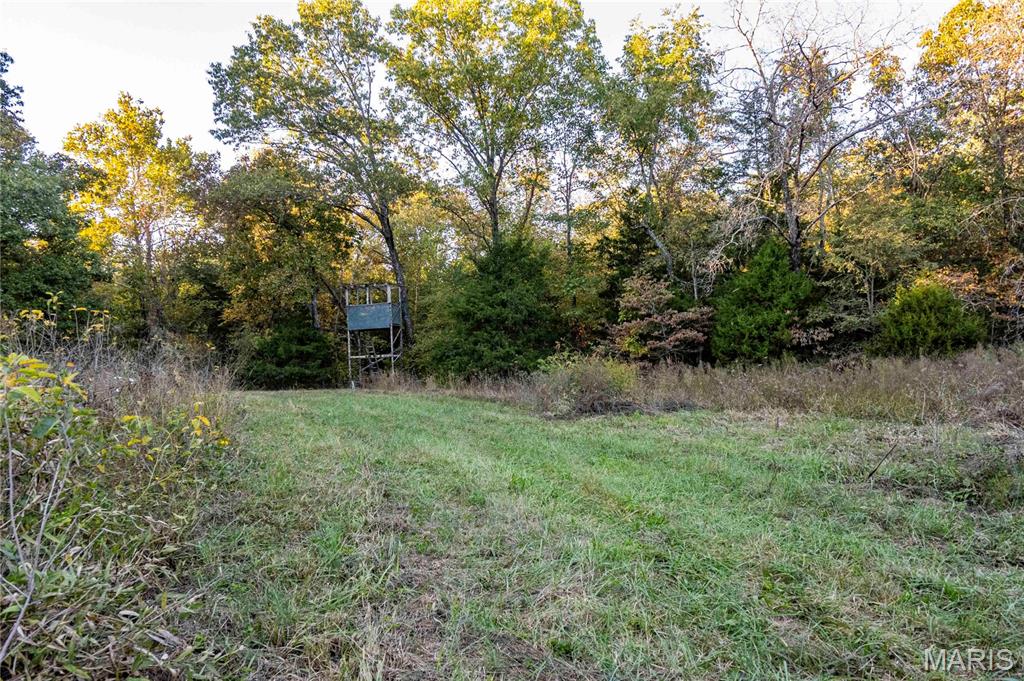 2302 Highway 19 Property Photo 13