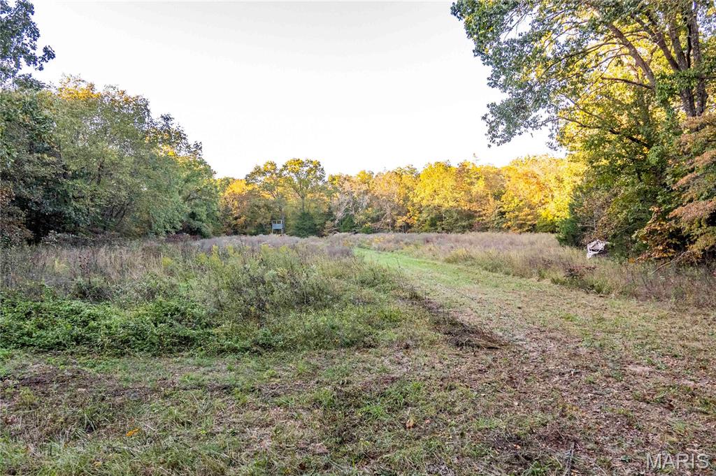 2302 Highway 19 Property Photo 14