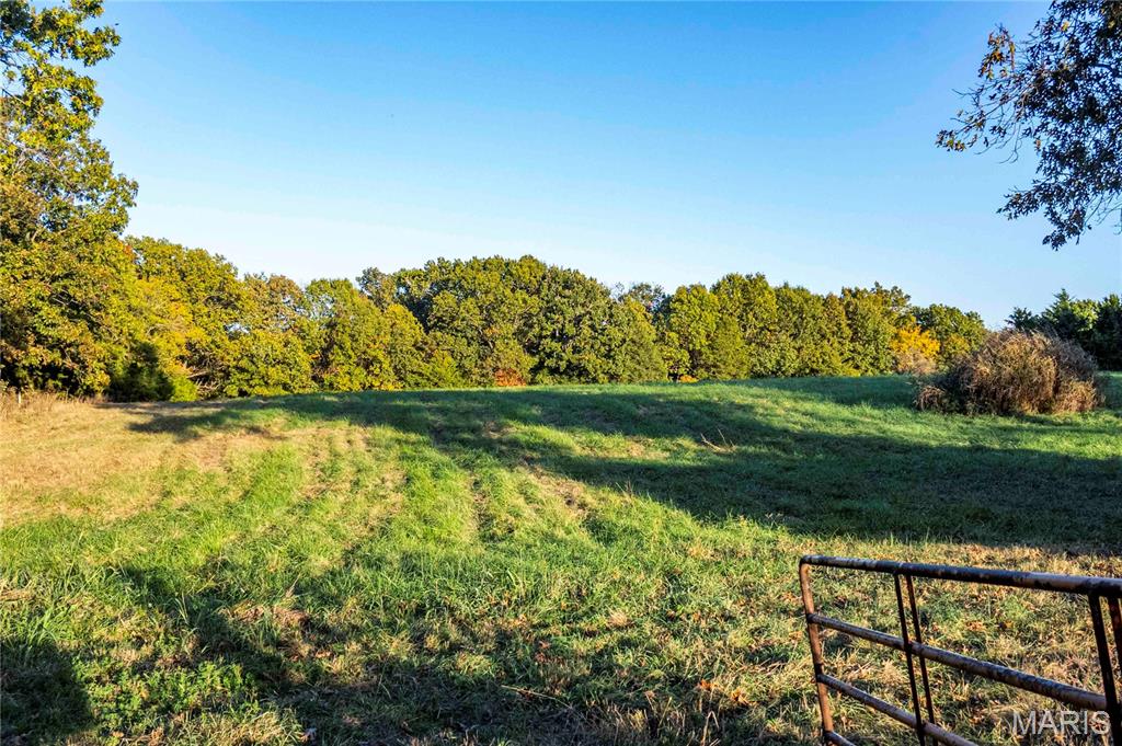 2302 Highway 19 Property Photo 35