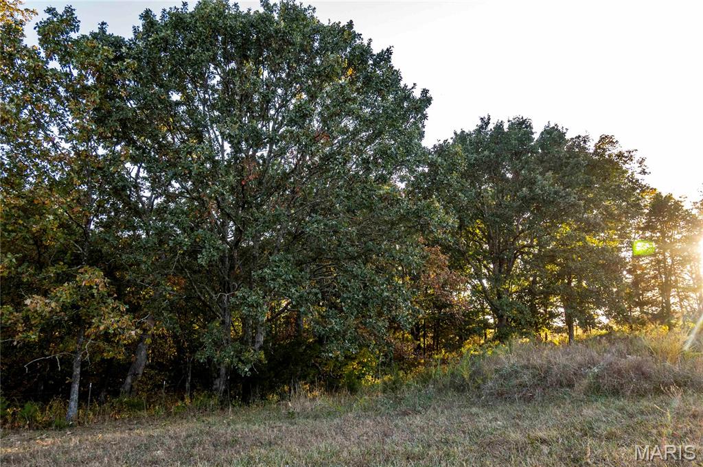 2302 Highway 19 Property Photo 36