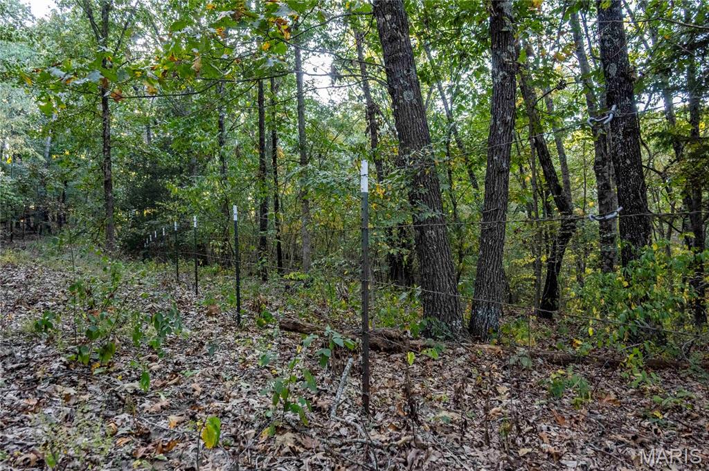 2302 Highway 19 Property Photo 40