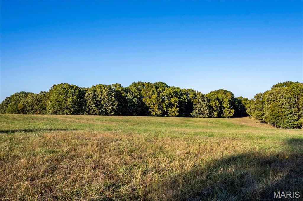 2302 Highway 19 Property Photo 48