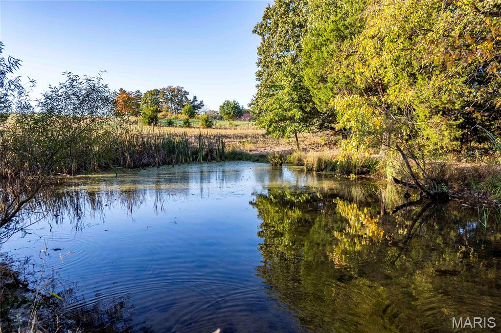 2302 Highway 19 Property Photo 51