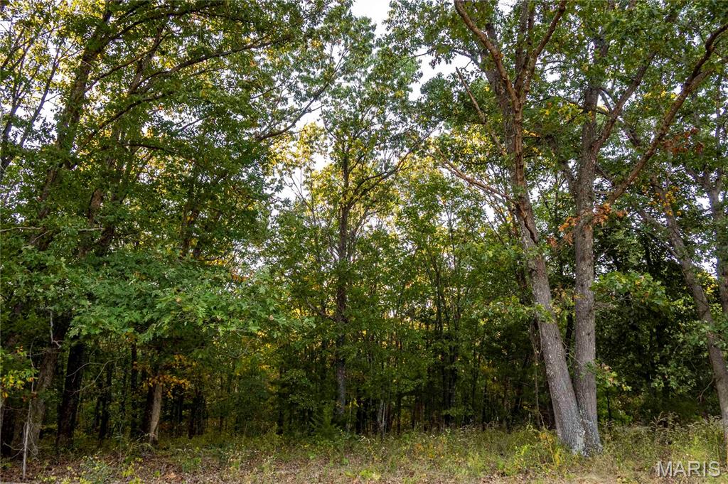 2302 Highway 19 Property Photo 52