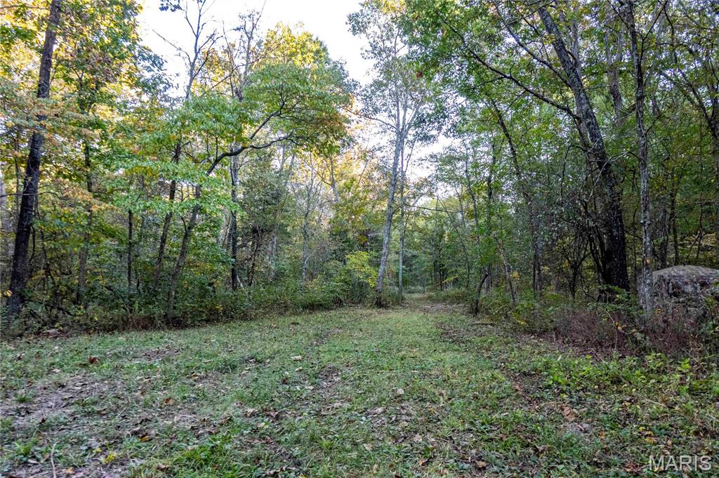 2302 Highway 19 Property Photo 53