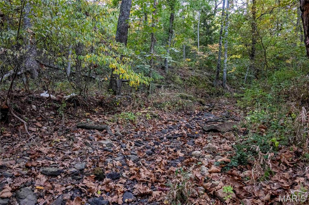 2302 Highway 19 Property Photo 54