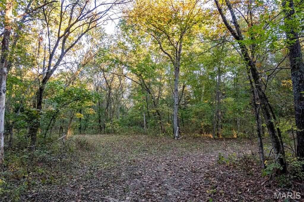 2302 Highway 19 Property Photo 55