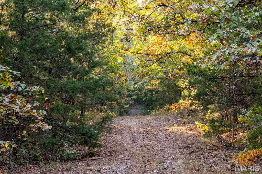 2302 Highway 19 Property Photo 57