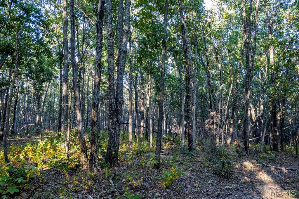 2302 Highway 19 Property Photo 59
