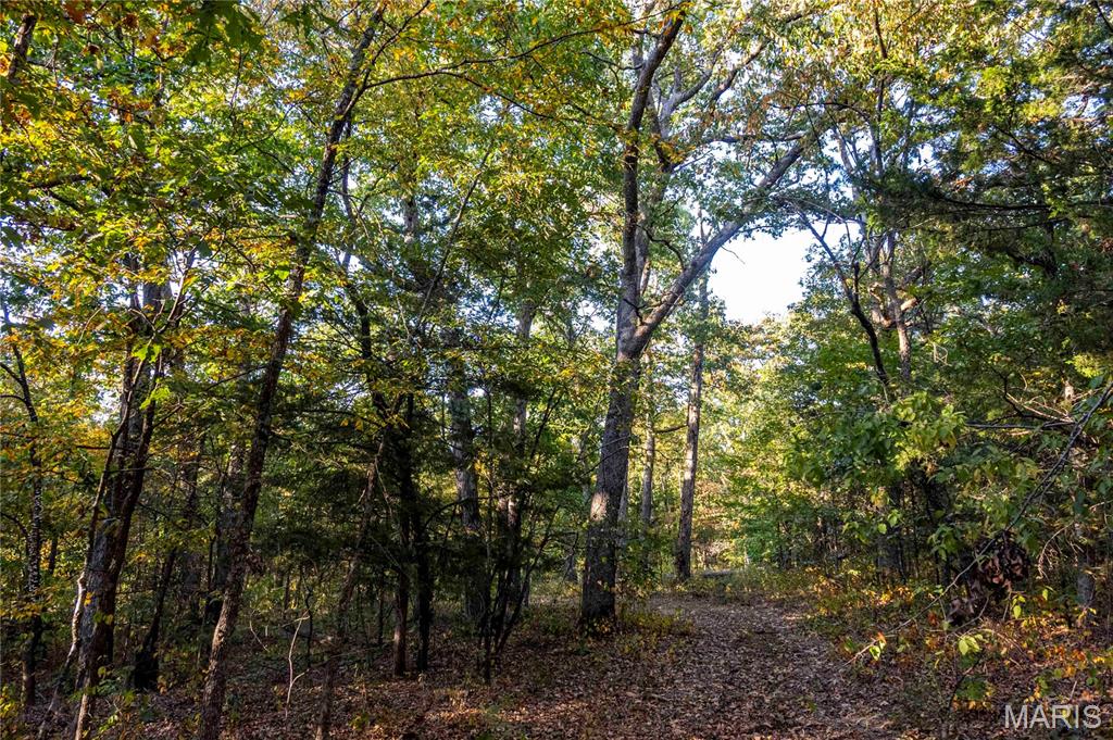 2302 Highway 19 Property Photo 60