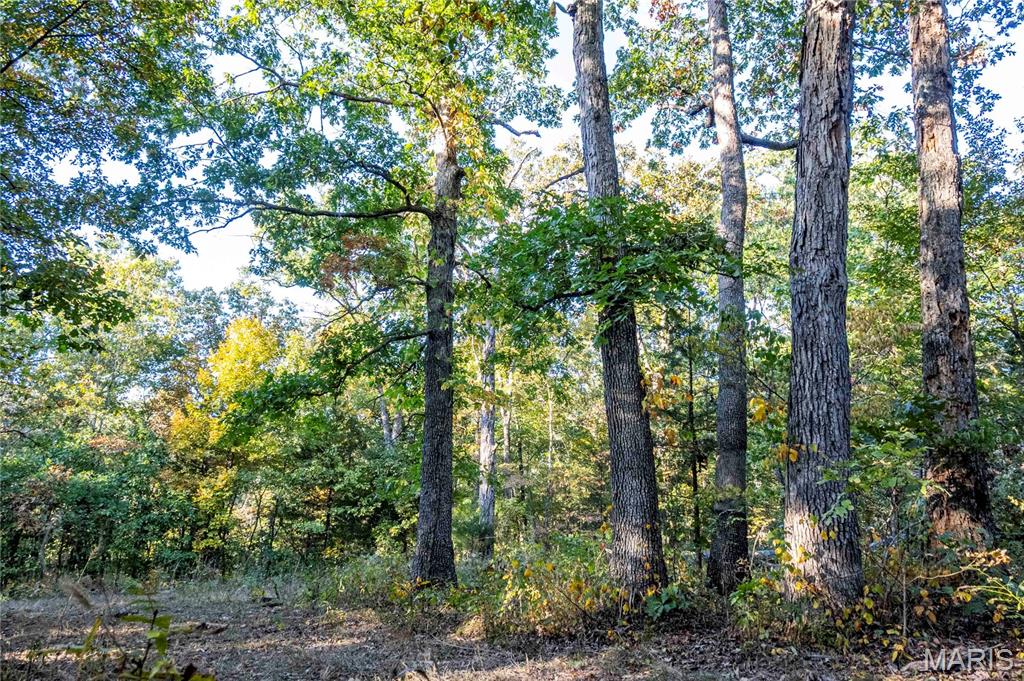 2302 Highway 19 Property Photo 61