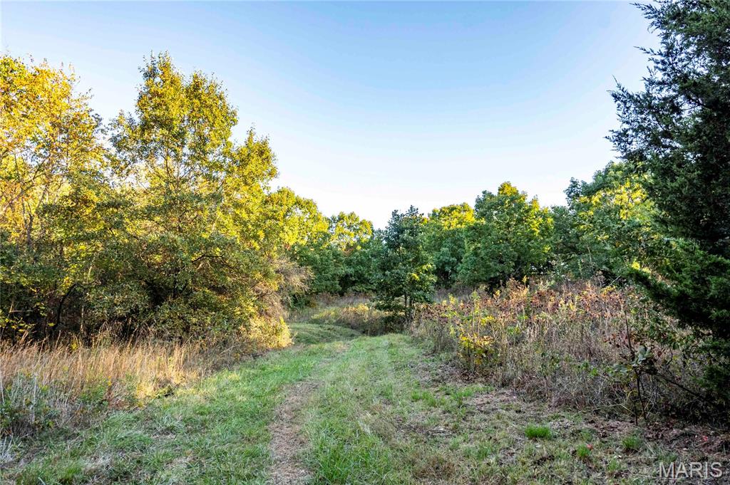 2302 Highway 19 Property Photo 62