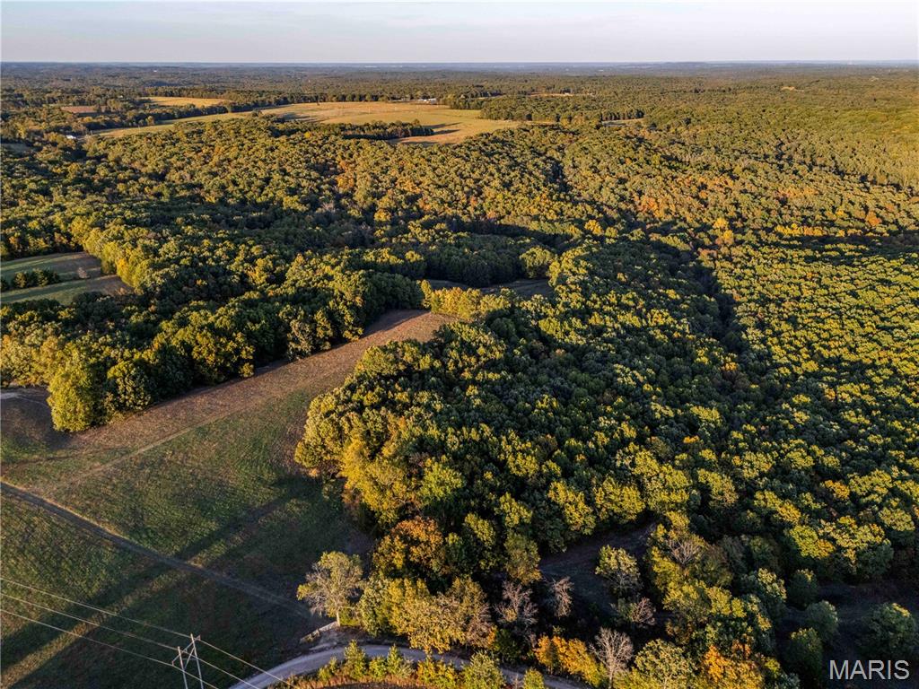 2302 Highway 19 Property Photo 63