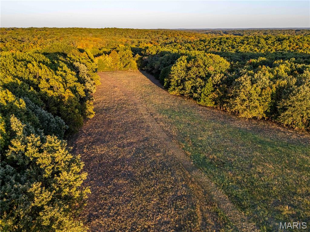 2302 Highway 19 Property Photo 64