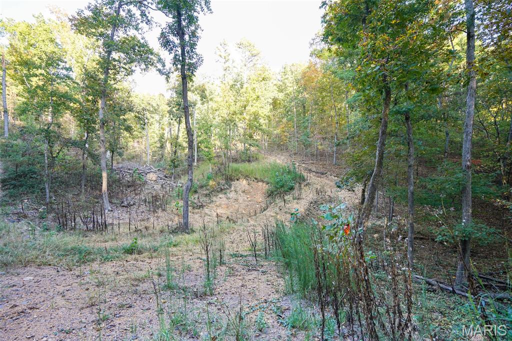 000 Hwy Cc Property Photo 16