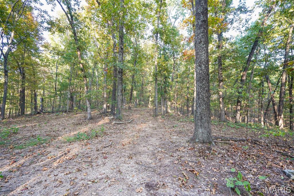 000 Hwy Cc Property Photo 17