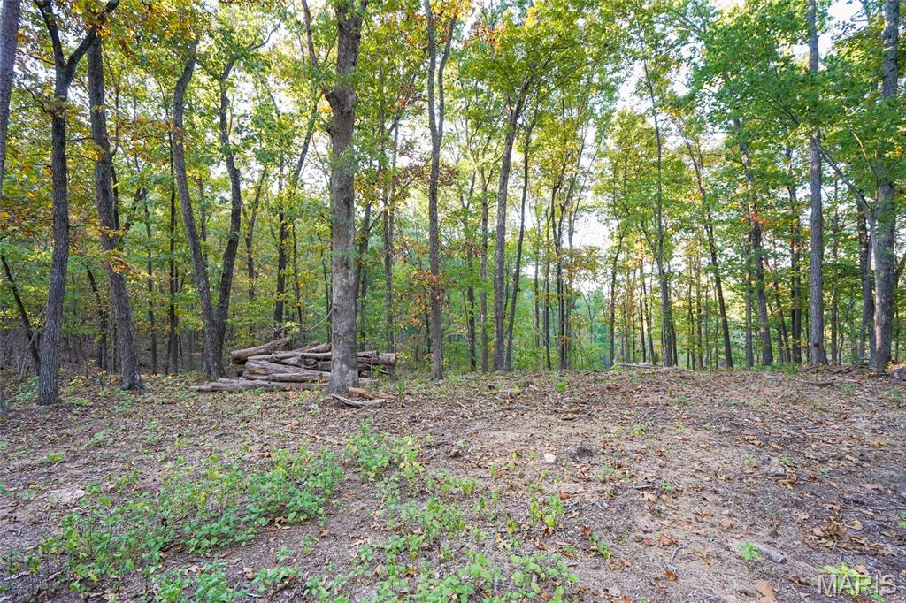 000 Hwy Cc Property Photo 18