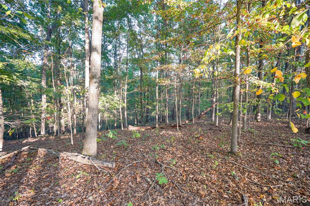 000 Hwy Cc Property Photo 24