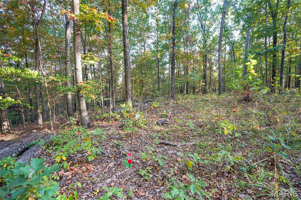 000 Hwy Cc Property Photo 25