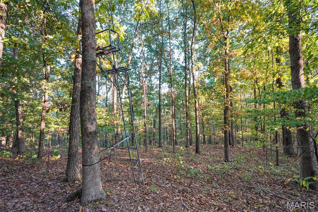 000 Hwy Cc Property Photo 32