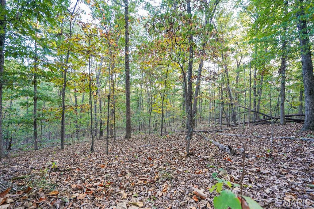 000 Hwy Cc Property Photo 41
