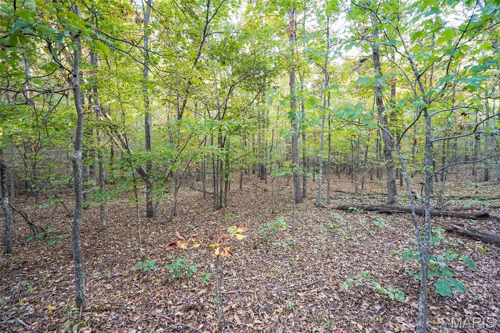 000 Hwy Cc Property Photo 43