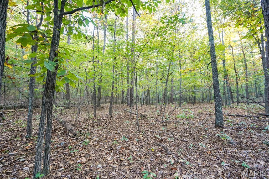 000 Hwy Cc Property Photo 44