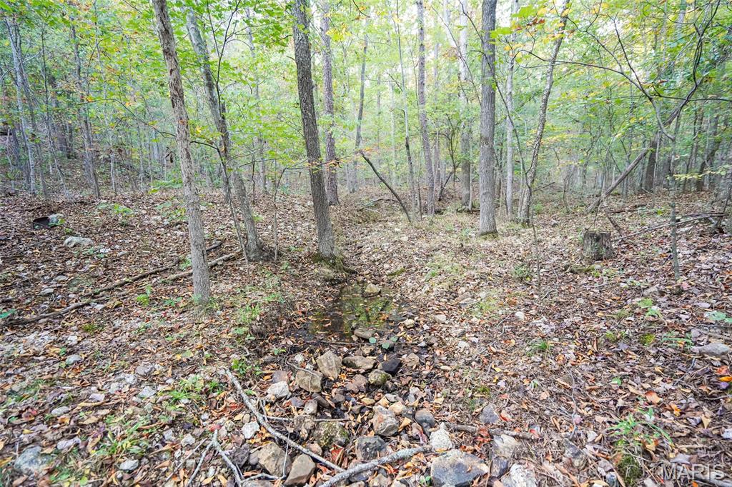 000 Hwy Cc Property Photo 48