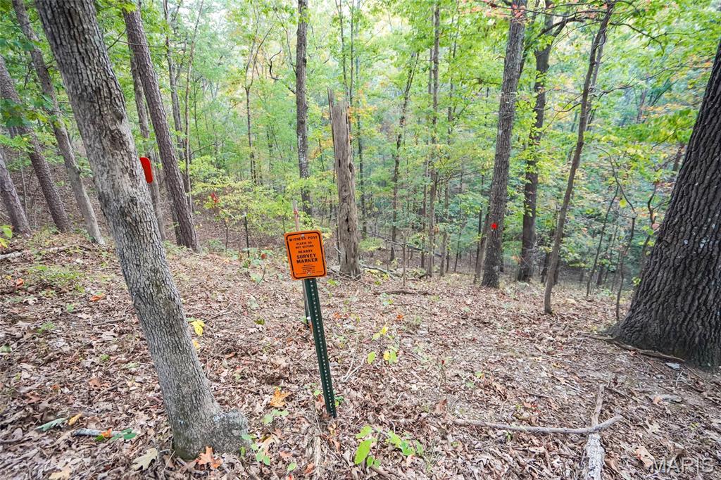 000 Hwy Cc Property Photo 76