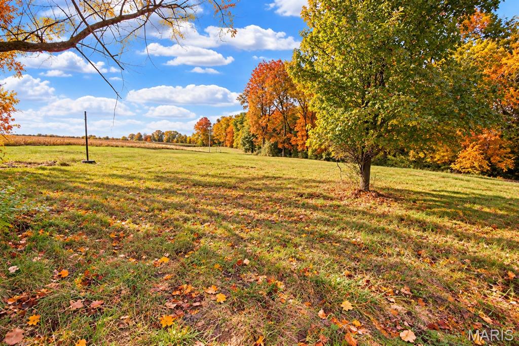 1200 County Road 263 Property Photo 4