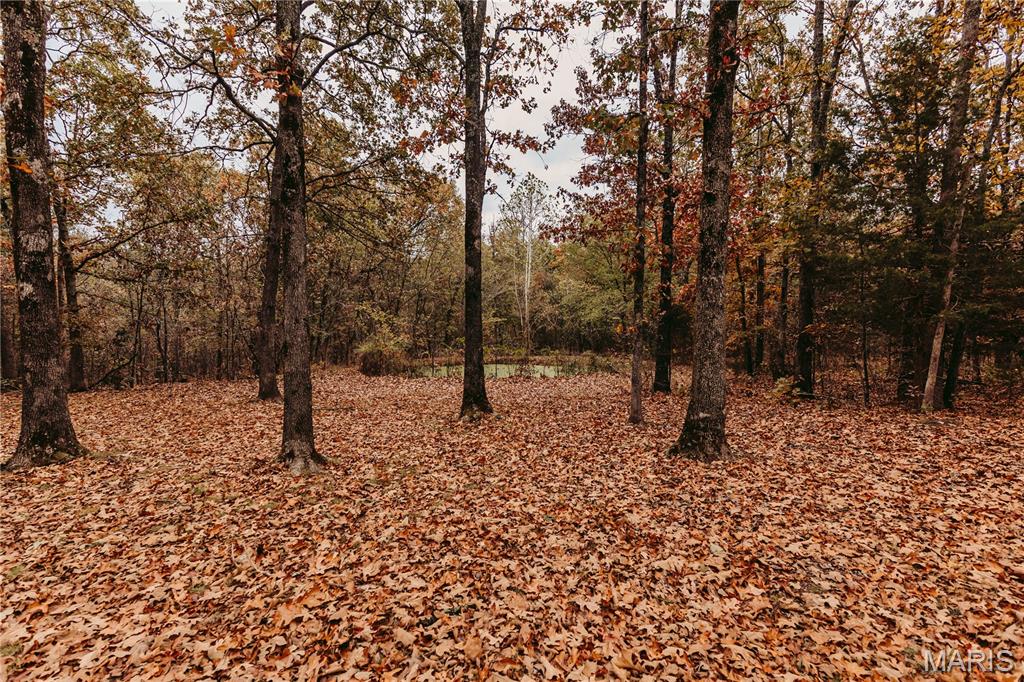11550 Cherry Road Property Photo 69