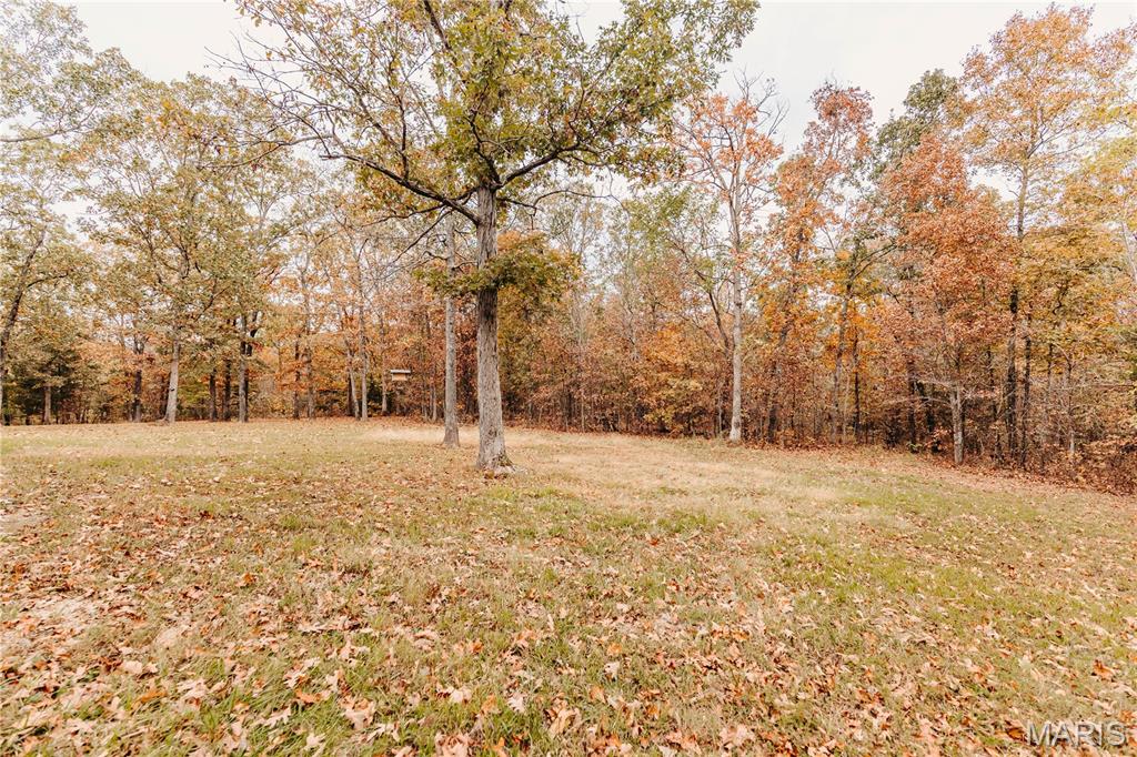 11550 Cherry Road Property Photo 71