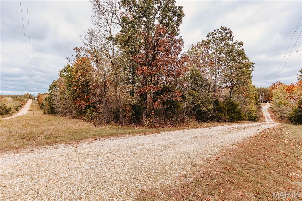 11550 Cherry Road Property Photo 87