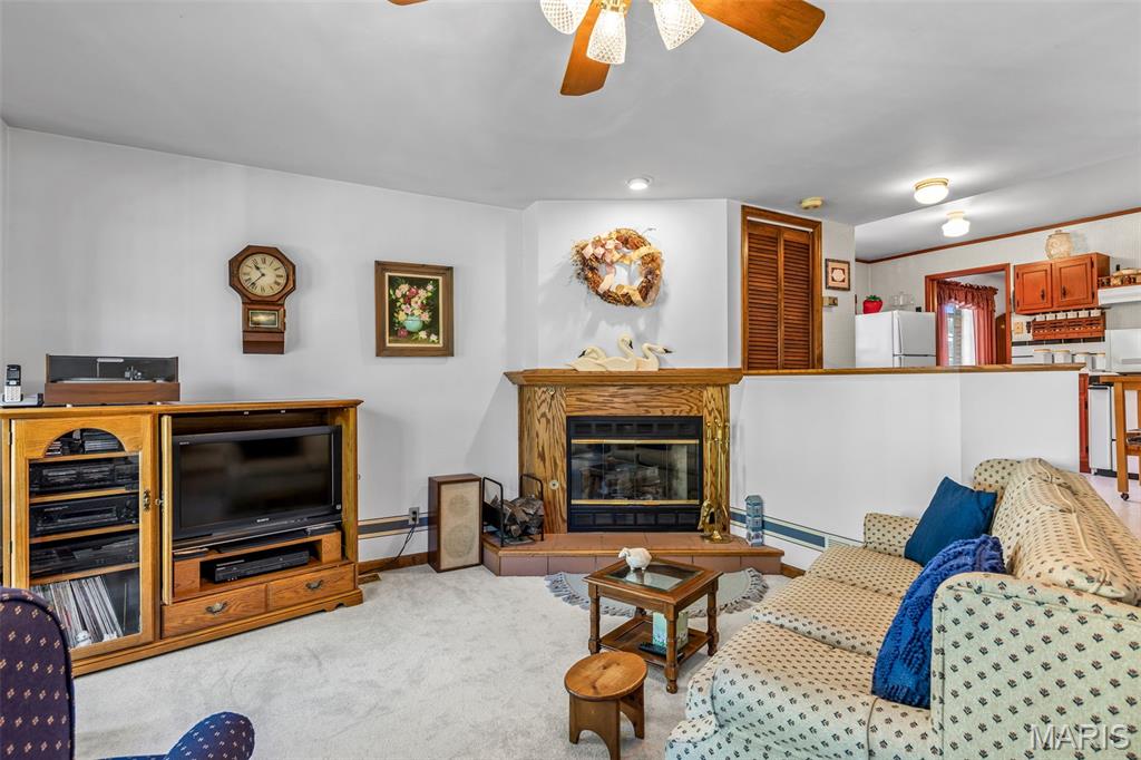 729 Zeiss Property Photo 6