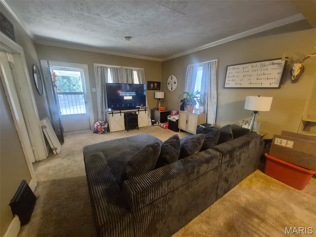 1815 Swanwick Street Property Photo 21