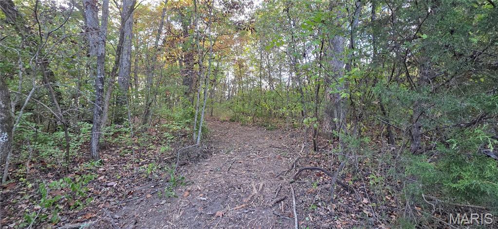 5+/- Pin Oak Church Rd Property Photo 4