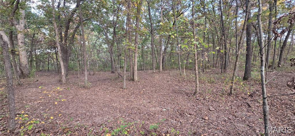 5+/- Pin Oak Church Rd Property Photo 8
