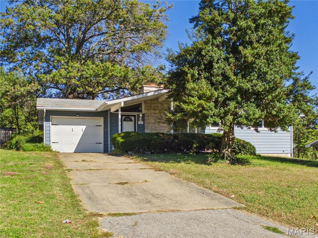 8 Camellia Drive Property Photo 1