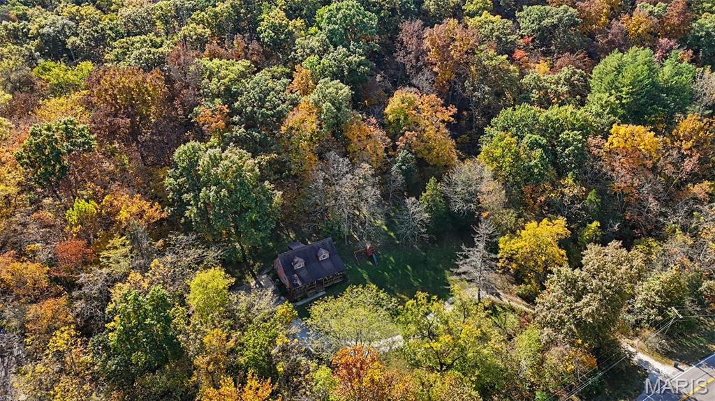 11108 State Highway D Property Photo 7
