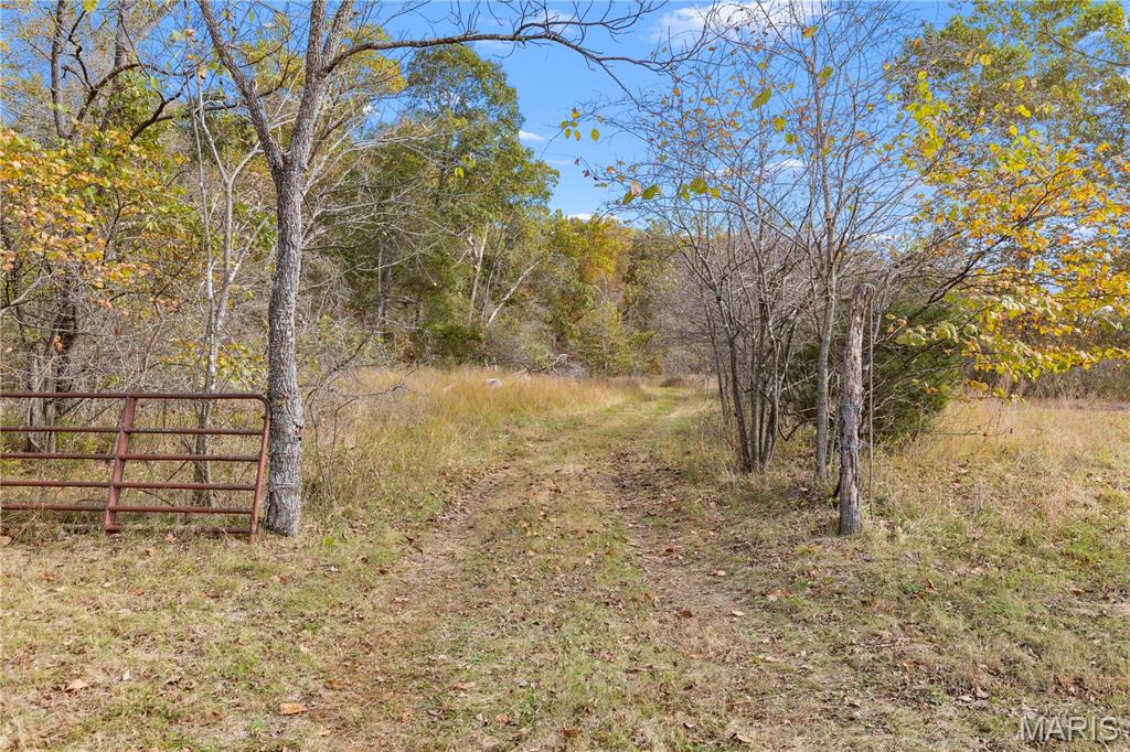 00 Dry Gulch Rd Road Property Photo 1