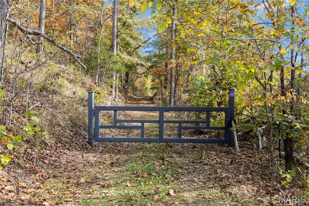 00 Dry Gulch Rd Road Property Photo 2