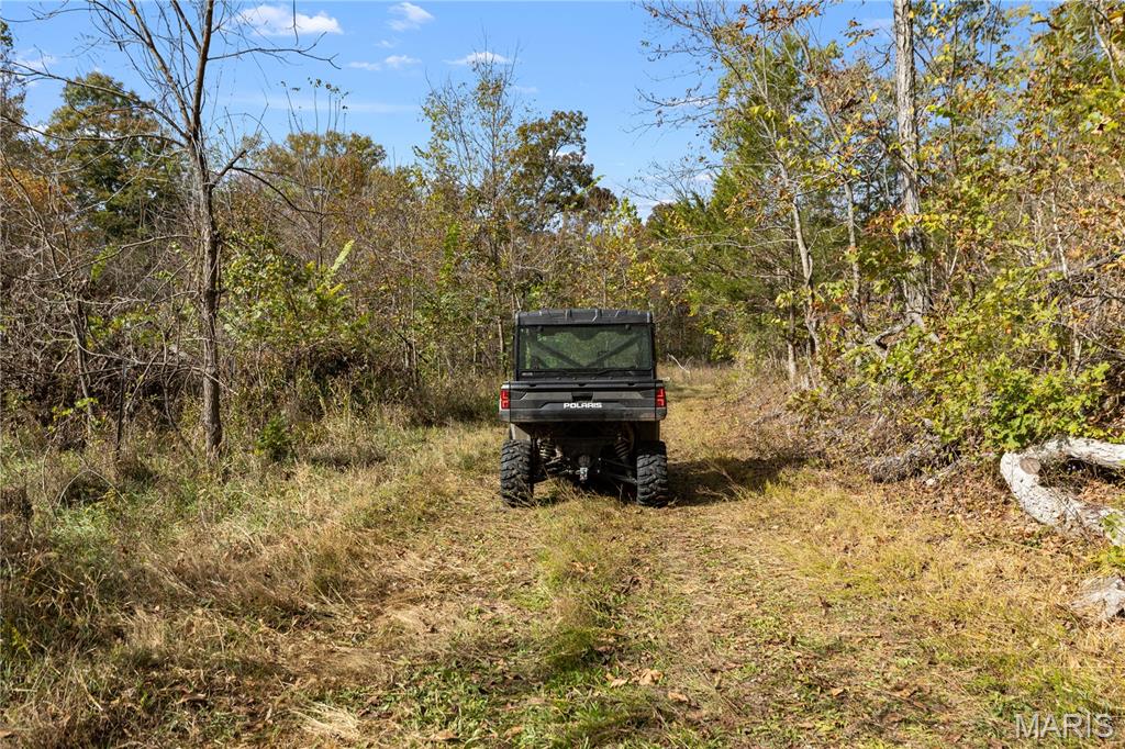 00 Dry Gulch Rd Road Property Photo 10