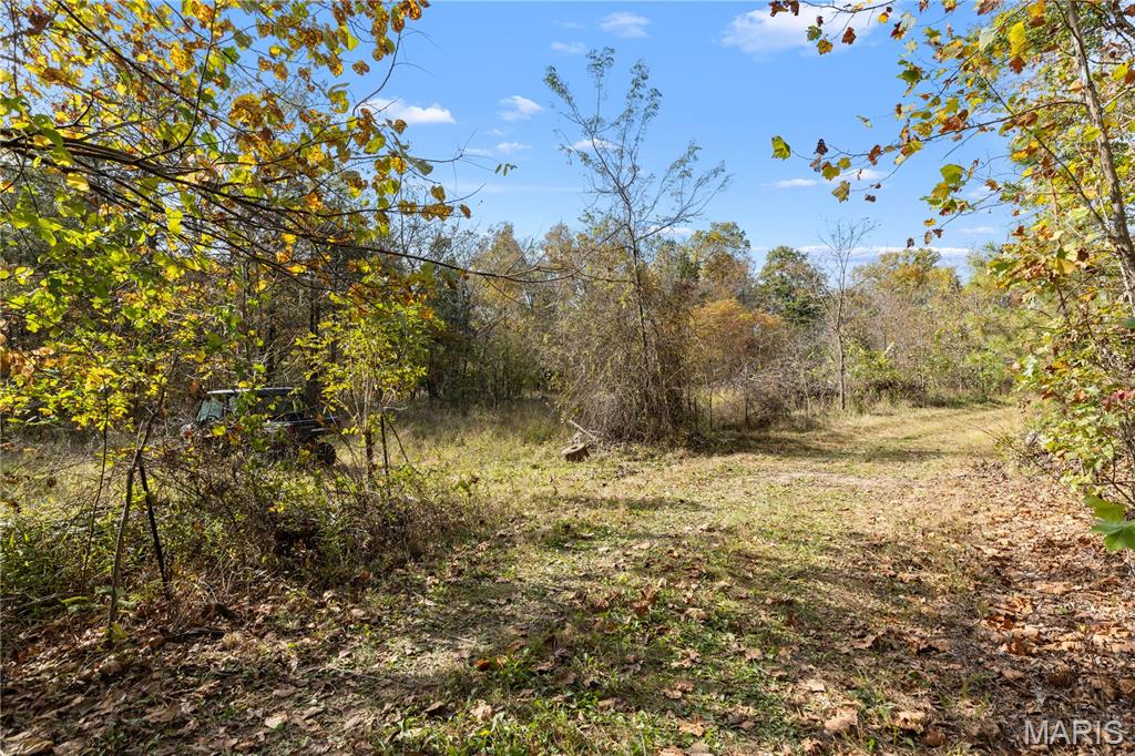 00 Dry Gulch Rd Road Property Photo 14