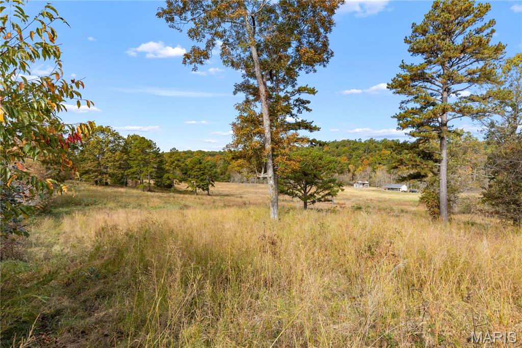 00 Dry Gulch Rd Road Property Photo 16
