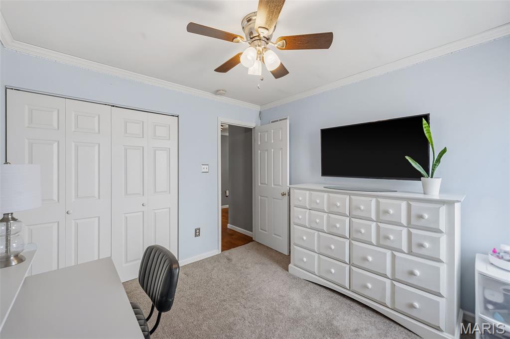 117 Fox Creek Drive Property Photo 21
