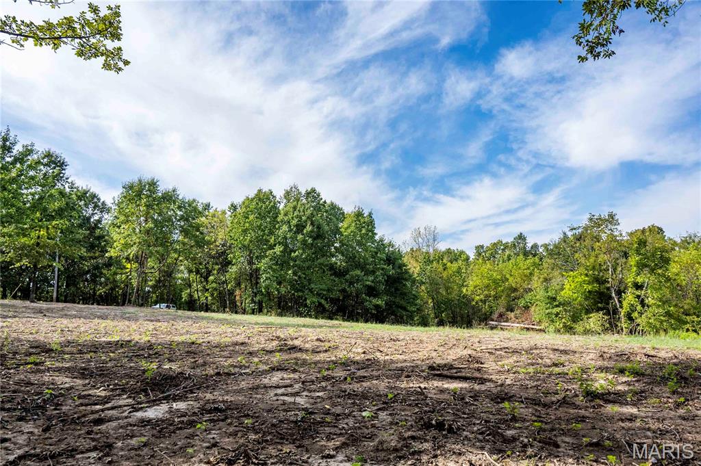24501 Highway Ww Property Photo 8