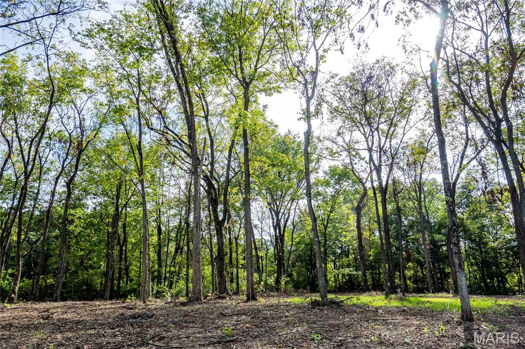 24501 Highway Ww Property Photo 13