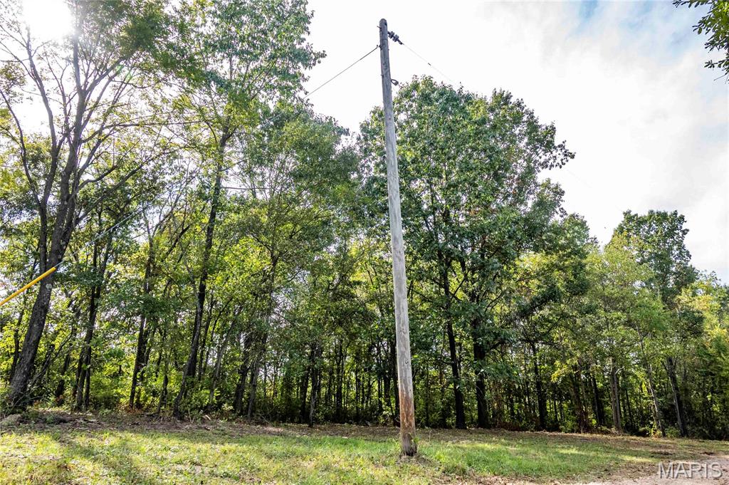 24501 Highway Ww Property Photo 14