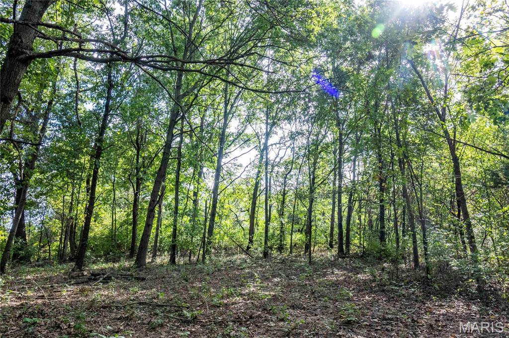 24501 Highway Ww Property Photo 22